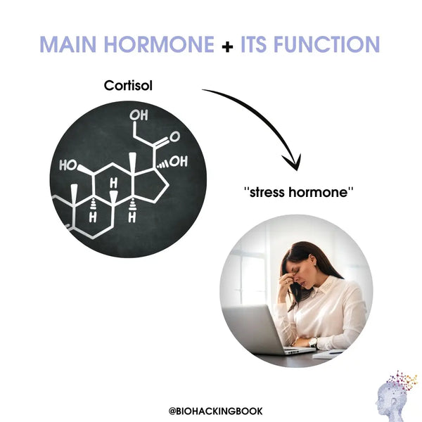 cortisol