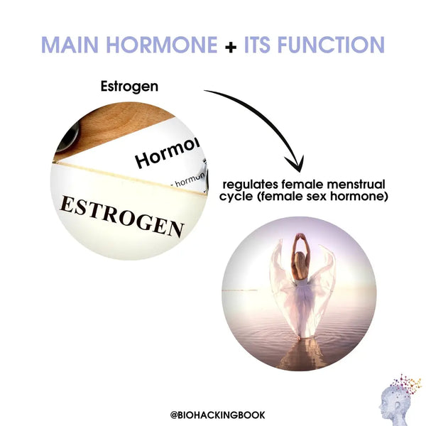 estrogen