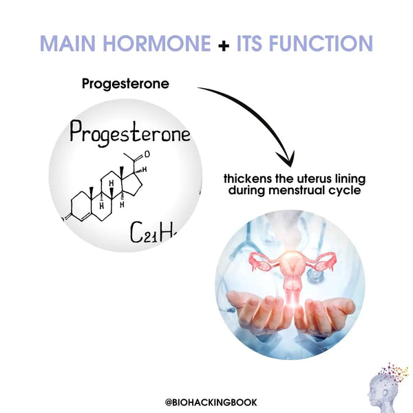 progesterone