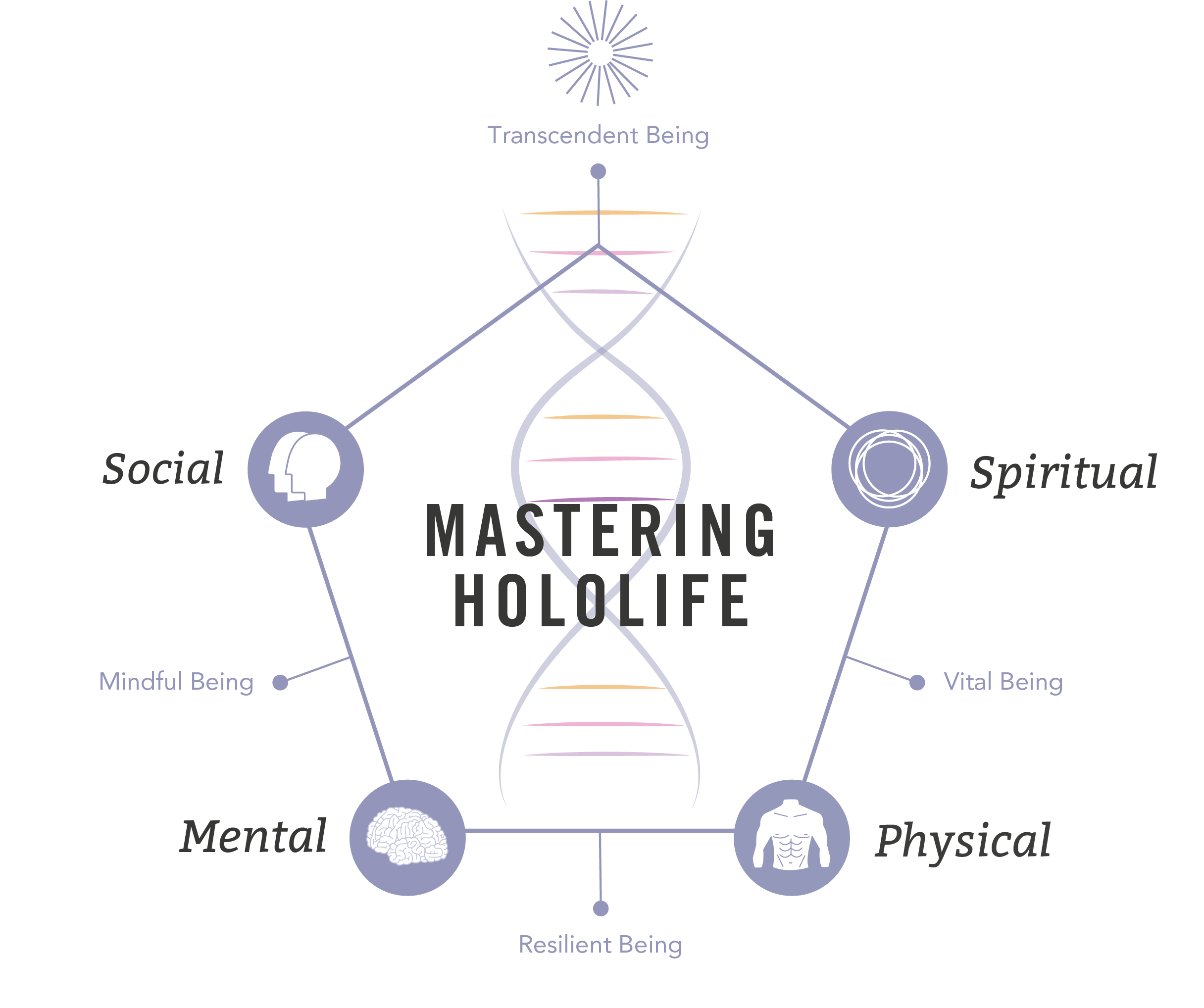 The Resilient Being: Mastering the Biology of Stress &amp; Resilience (kovakantinen kirja) (ENNAKKOTILAUS)