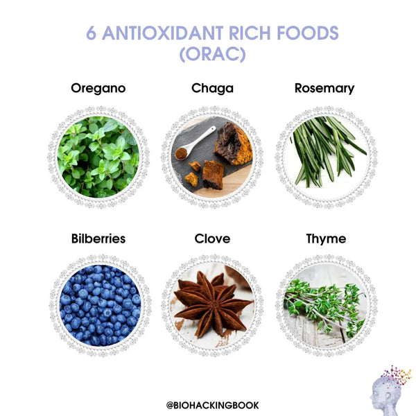 Antioxidants and Oxidative Stress – Too Much or Little?