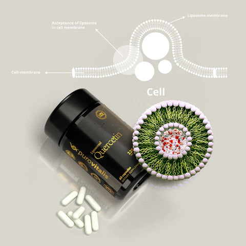 Revitalize Your Cells: Top 3 Natural Senolytics