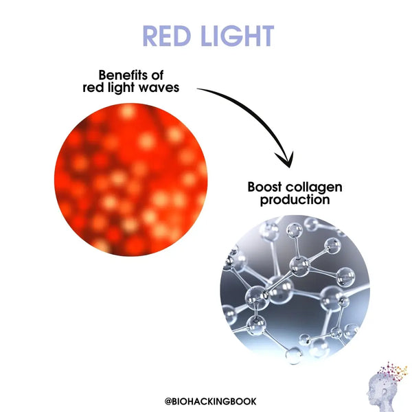 Gesundheitliche Vorteile der Photobiomodulation (Rot- und NIR-Licht