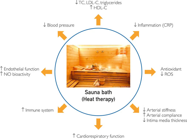 Warmteverandering: Gezondheidsvoordelen van de traditionele sauna &