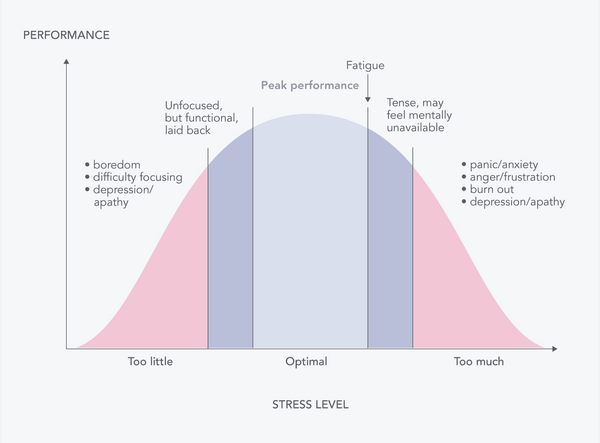 Stress Sensitivity and Eustress – Can You Increase Your