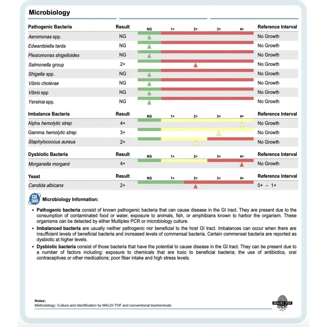 Nordic Laboratories Test Doctor's Data GI360 x3