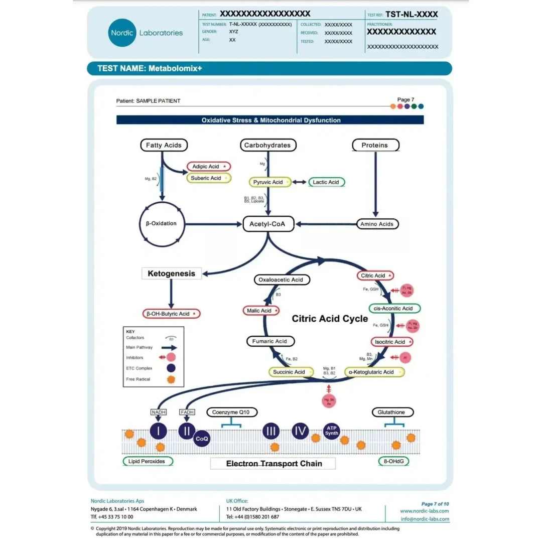 Nordic Laboratories Test Nordic Laboratories Metabolomix + (nutrition and metabolism test)